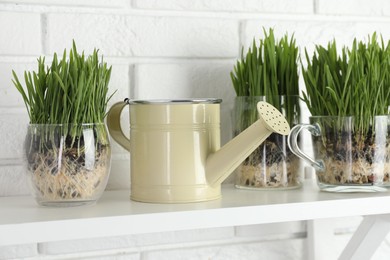 Photo of Wheat grass in transparent pots and watering can on shelf near white brick wall
