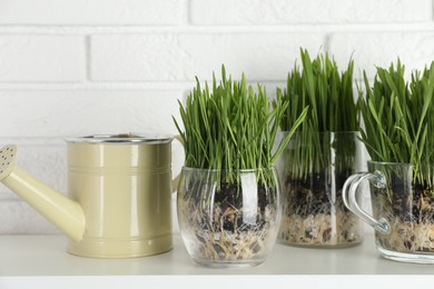 Photo of Wheat grass in transparent pots and watering can on shelf near white brick wall