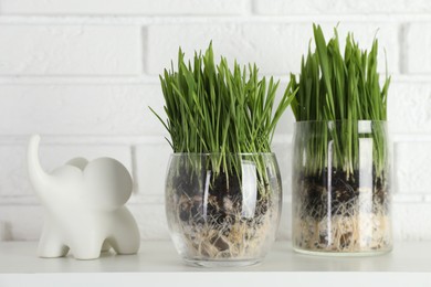 Photo of Wheat grass in transparent pots and elephant figure on shelf near white brick wall