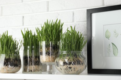 Photo of Wheat grass in transparent pots and framed poster on table near white brick wall