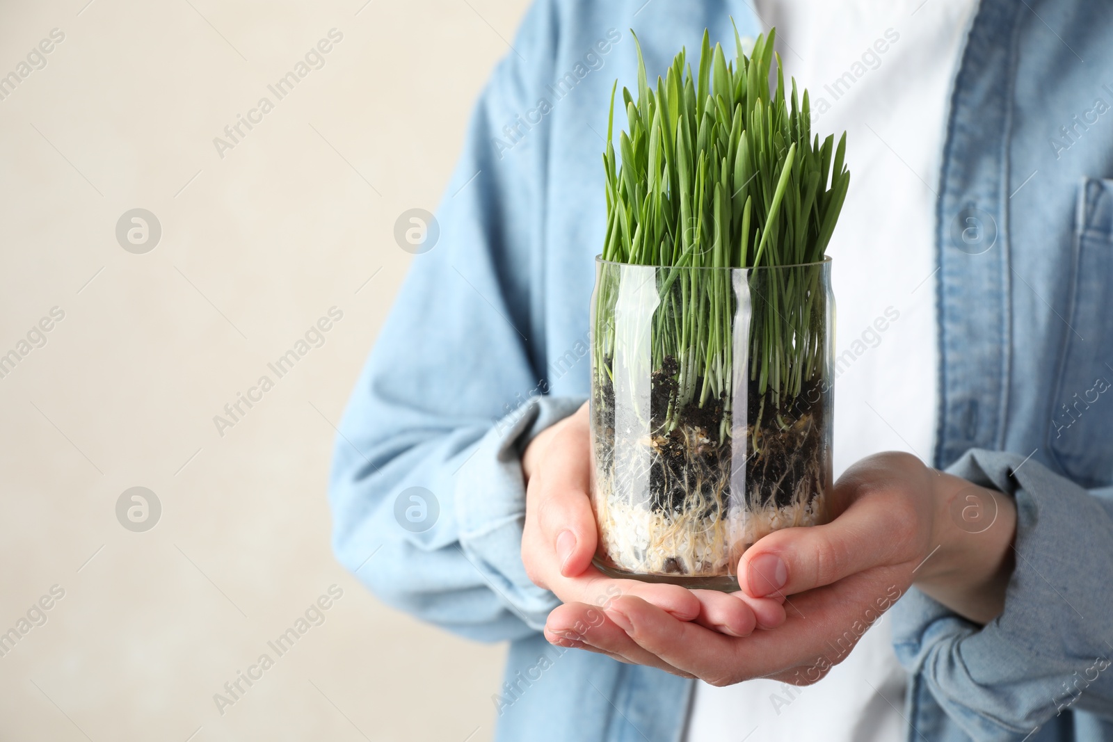 Woman with wheat grass in transparent pot on light background, closeup. Space for text Photo of Woman with wheat grass in transparent pot on light background, closeup. Space for text