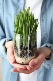 Photo of Woman with wheat grass in transparent pot on light background, closeup