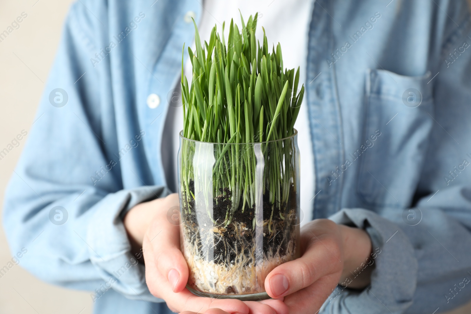 Woman with wheat grass in transparent pot on light background, closeup Photo of Woman with wheat grass in transparent pot on light background, closeup