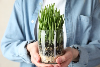 Photo of Woman with wheat grass in transparent pot on light background, closeup