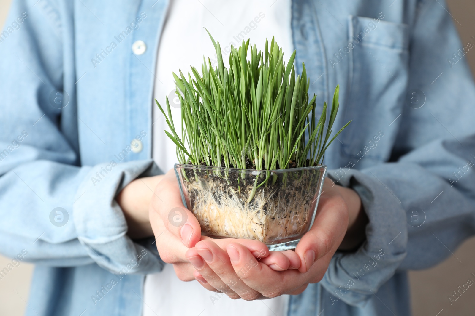 Woman with wheat grass in transparent pot on light background, closeup Photo of Woman with wheat grass in transparent pot on light background, closeup