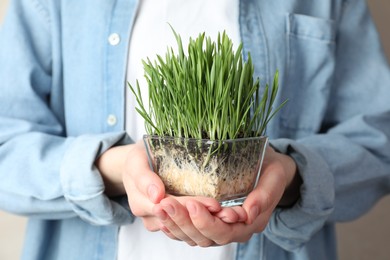 Photo of Woman with wheat grass in transparent pot on light background, closeup