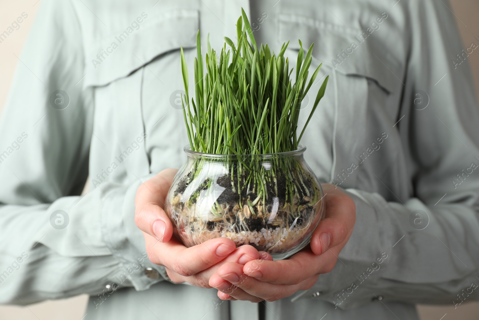 Woman with wheat grass in transparent pot on light background, closeup Photo of Woman with wheat grass in transparent pot on light background, closeup