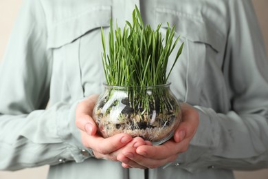 Photo of Woman with wheat grass in transparent pot on light background, closeup