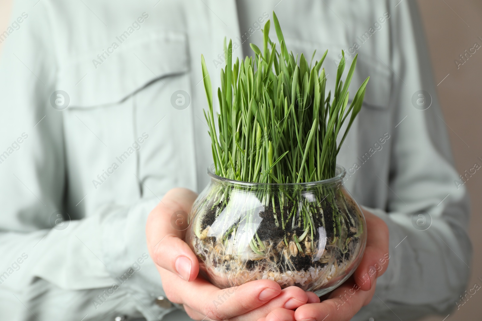 Woman with wheat grass in transparent pot on light background, closeup Photo of Woman with wheat grass in transparent pot on light background, closeup