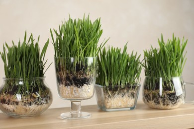 Photo of Wheat grass in transparent pots on wooden table near light wall, closeup