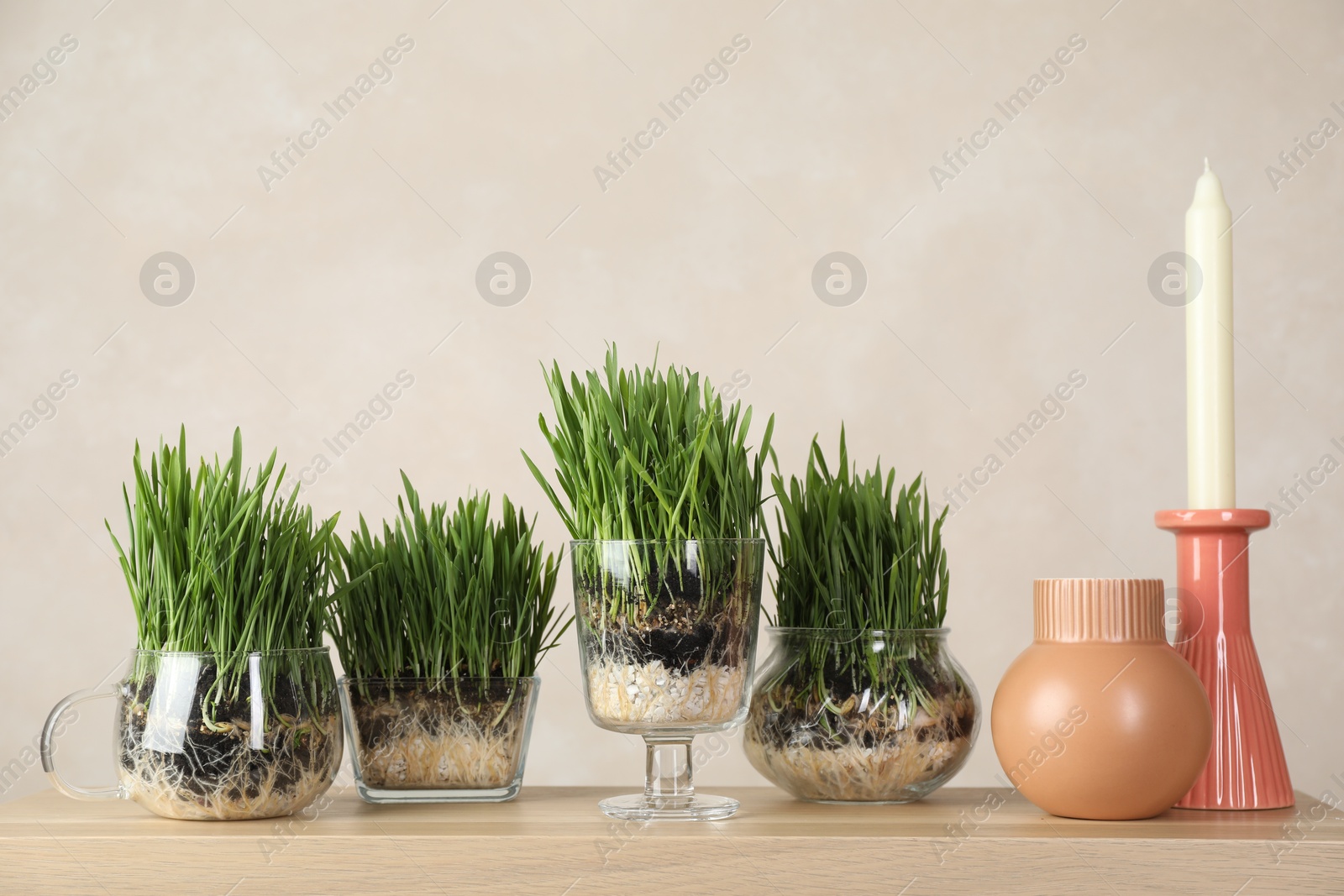 Wheat grass in transparent pots and decor on table near light wall Photo of Wheat grass in transparent pots and decor on table near light wall