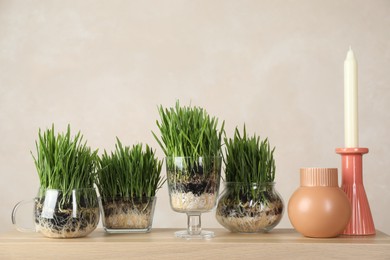Photo of Wheat grass in transparent pots and decor on table near light wall