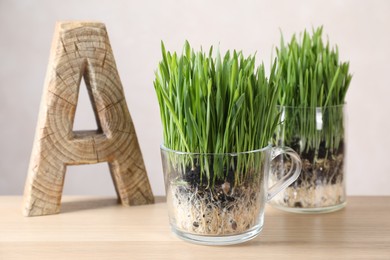 Photo of Wheat grass in transparent pots and decor on table near light wall