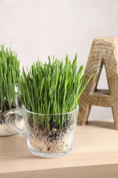 Photo of Wheat grass in transparent pots and decor on table near light wall
