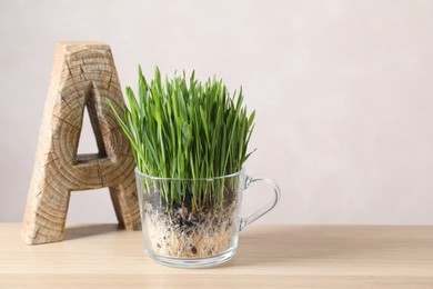 Photo of Wheat grass in transparent pot and decor on shelf near light wall. Space for text