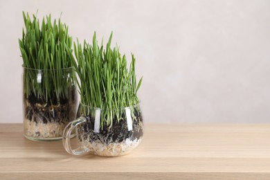 Photo of Wheat grass in transparent pots on wooden table near light wall. Space for text
