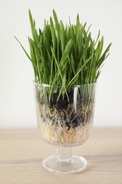 Photo of Wheat grass in transparent pot on wooden table near light wall, closeup