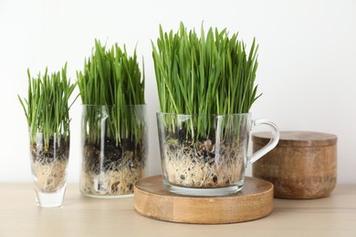 Photo of Wheat grass in transparent pots and decor on table near light wall