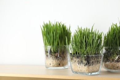 Photo of Wheat grass in transparent pots on wooden table near light wall, closeup. Space for text