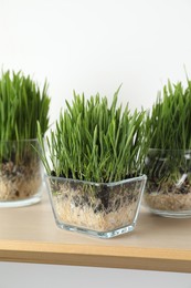 Photo of Wheat grass in transparent pots on wooden shelf near light wall, closeup