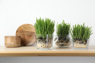 Photo of Wheat grass in transparent pots and decor on shelf near light wall