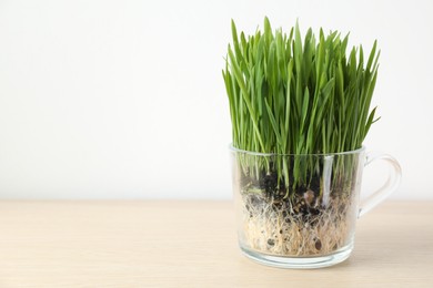 Photo of Wheat grass in transparent pot on wooden table near light wall, closeup. Space for text