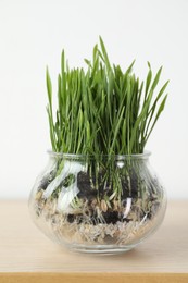 Photo of Wheat grass in transparent pot on wooden table near light wall, closeup