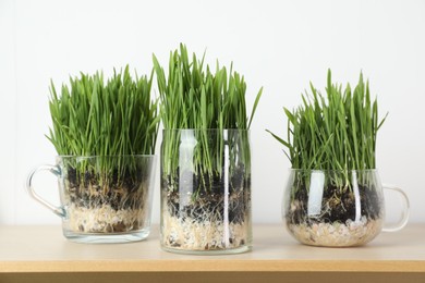 Photo of Wheat grass in transparent pots on wooden table near light wall