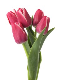 Photo of Many beautiful pink tulips isolated on white