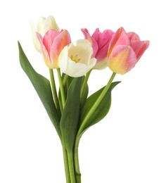 Photo of Many beautiful colorful tulips isolated on white
