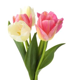 Photo of Many beautiful colorful tulips isolated on white