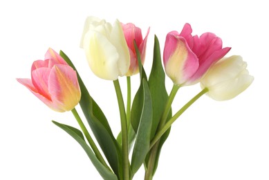Photo of Many beautiful colorful tulips isolated on white