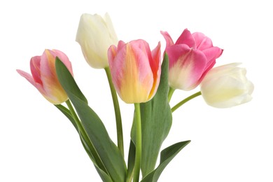 Photo of Many beautiful colorful tulips isolated on white