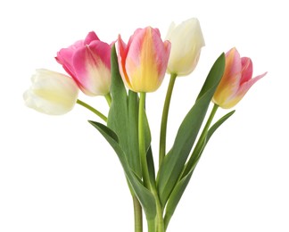 Photo of Many beautiful colorful tulips isolated on white
