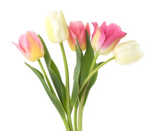Photo of Many beautiful colorful tulips isolated on white