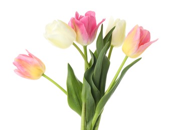 Photo of Many beautiful colorful tulips isolated on white