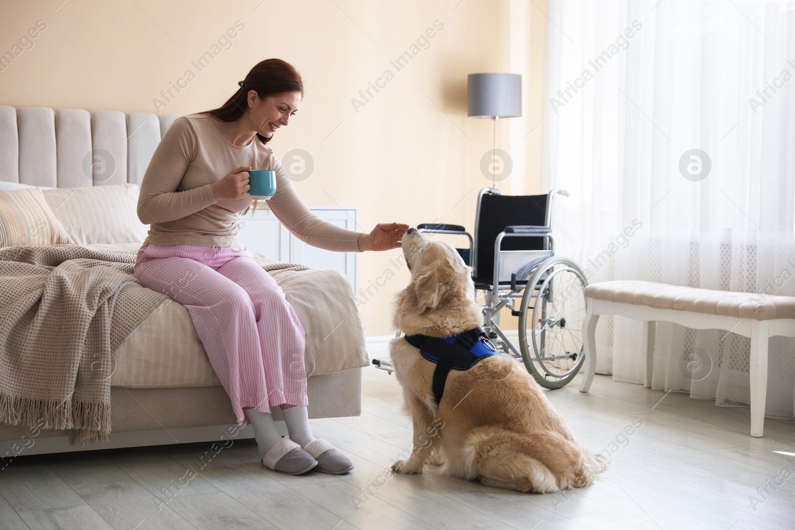 Woman with disability and her service dog at home Photo of Woman with disability and her service dog at home