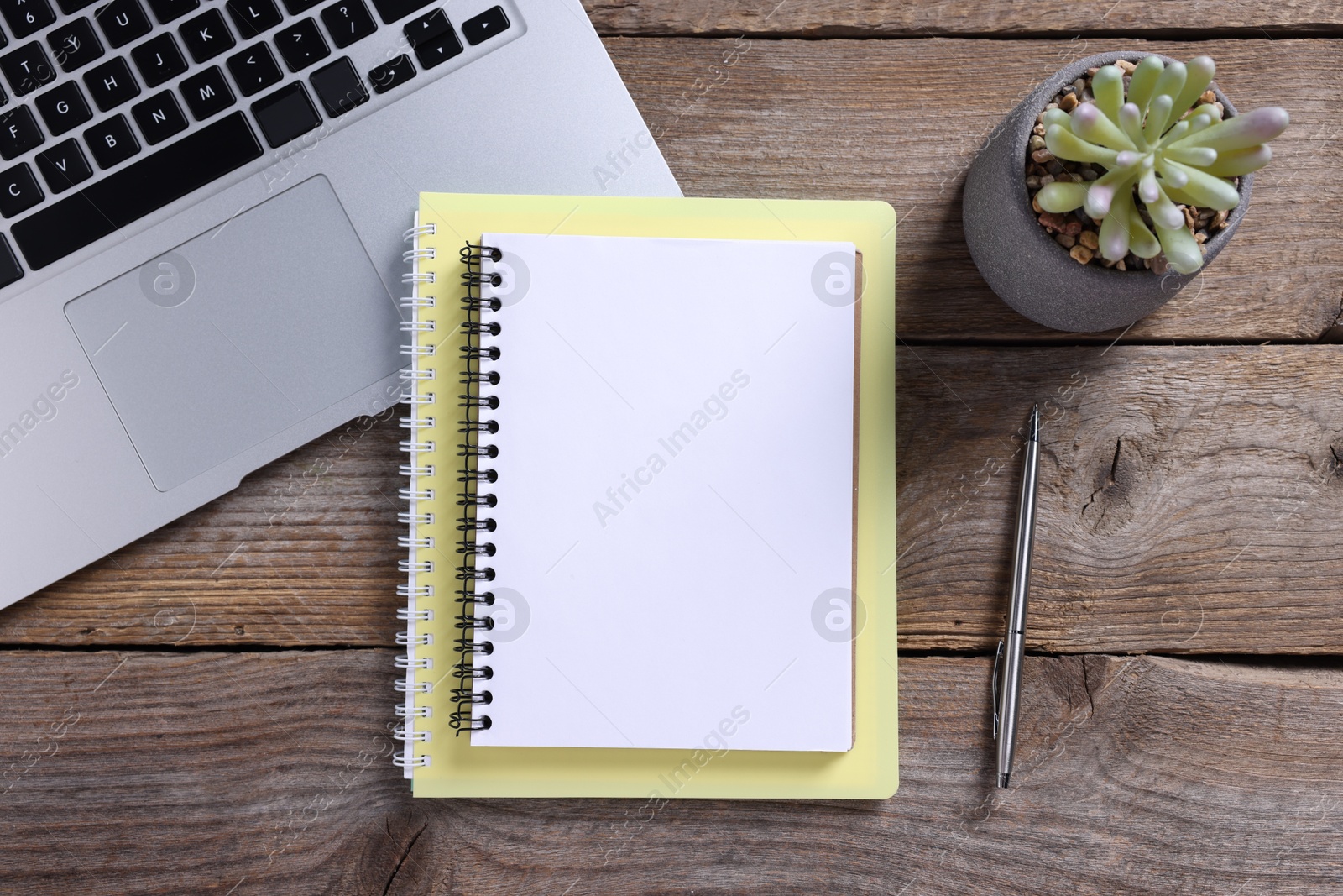 Blank notebooks, laptop, houseplant and pen on wooden table, flat lay Photo of Blank notebooks, laptop, houseplant and pen on wooden table, flat lay