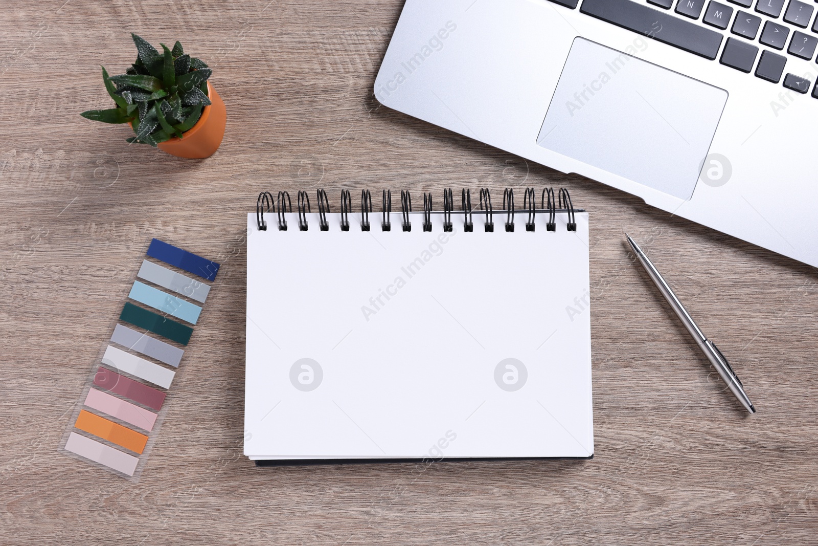 Open blank notebook, houseplant, laptop and stationery on wooden table, flat lay Photo of Open blank notebook, houseplant, laptop and stationery on wooden table, flat lay