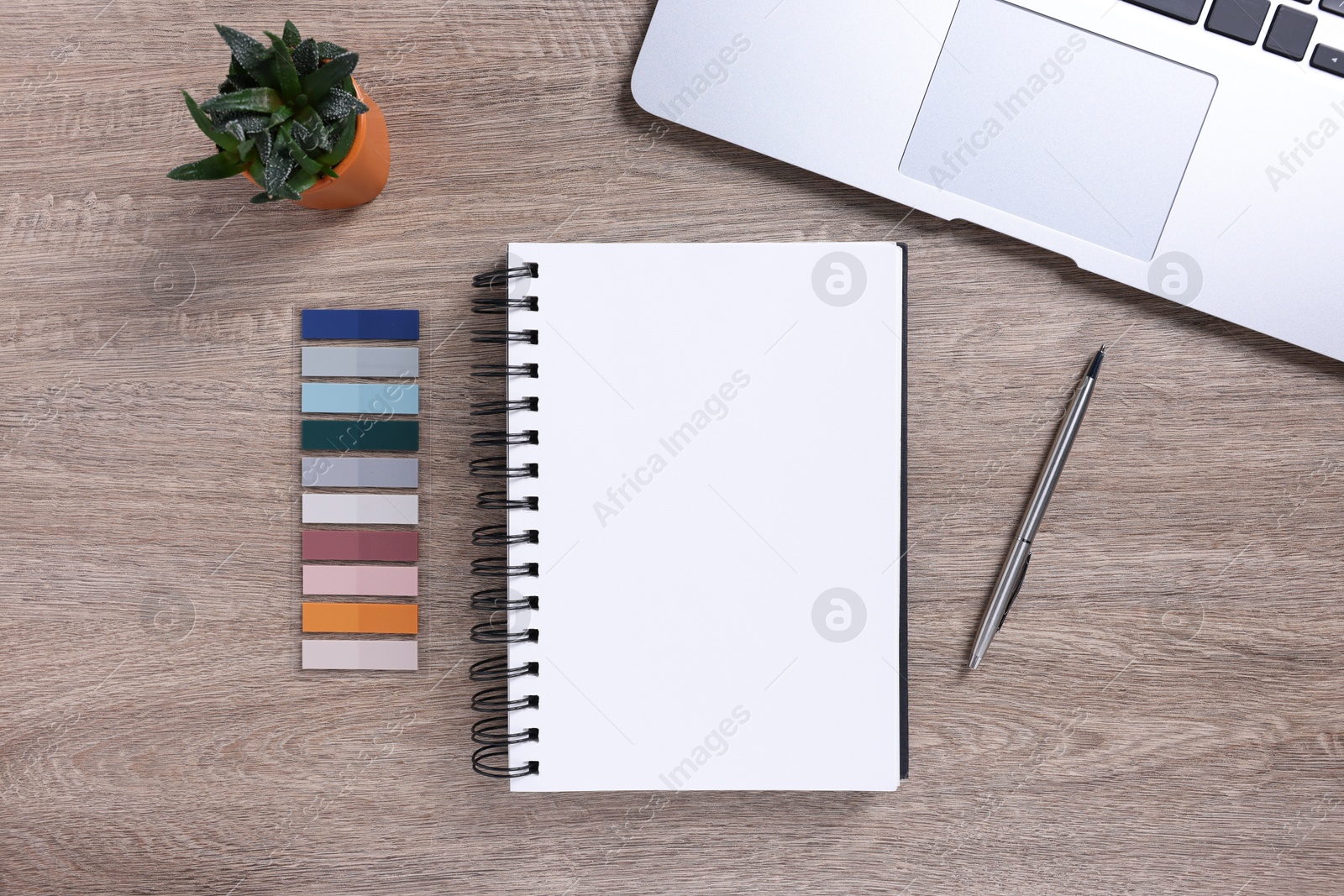 Open blank notebook, houseplant, laptop and stationery on wooden table, flat lay Photo of Open blank notebook, houseplant, laptop and stationery on wooden table, flat lay