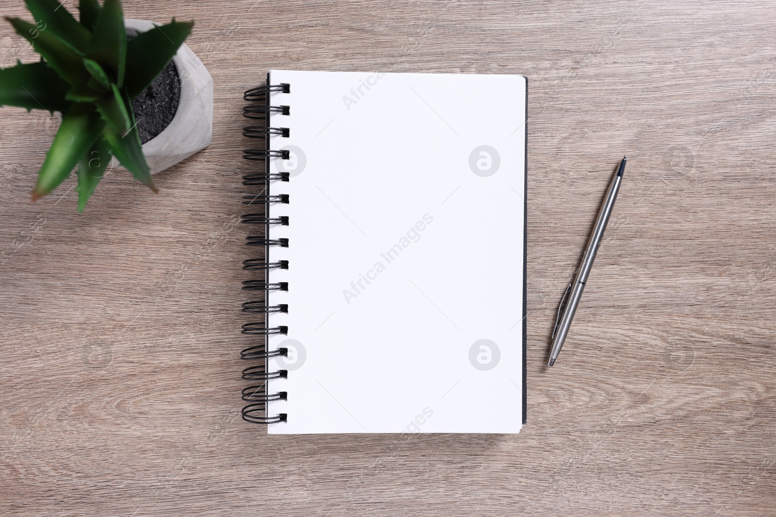 Open blank notebook, houseplant and pen on wooden table, flat lay Photo of Open blank notebook, houseplant and pen on wooden table, flat lay