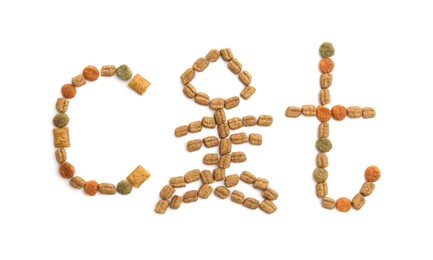 Photo of Word Cat with fish skeleton instead of letter A made of dry pet food isolated on white, top view