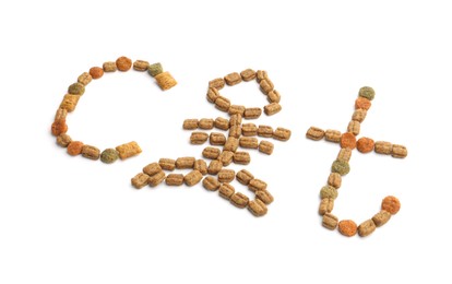 Photo of Word Cat with fish skeleton instead of letter A made of dry pet food isolated on white