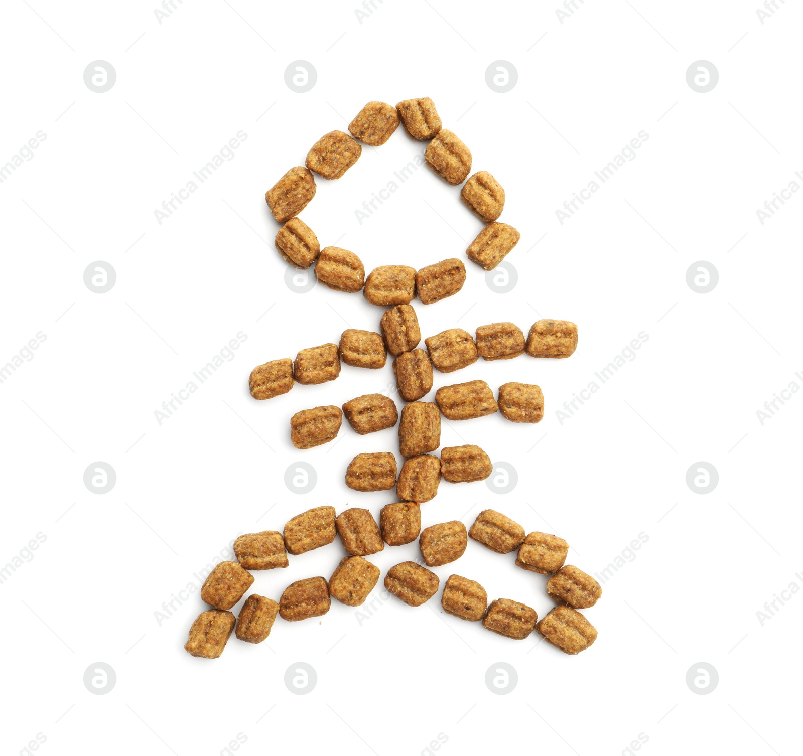 Fish skeleton made of dry pet food isolated on white, top view Photo of Fish skeleton made of dry pet food isolated on white, top view