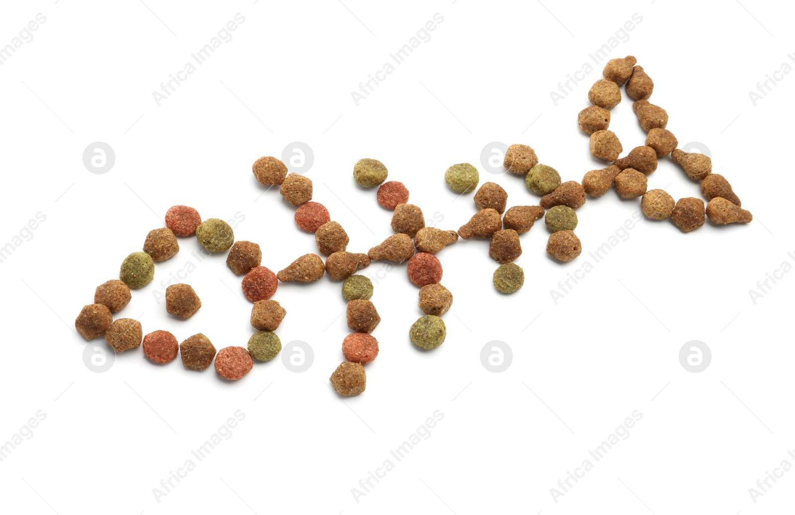 Fish skeleton made of dry pet food isolated on white, above view Photo of Fish skeleton made of dry pet food isolated on white, above view