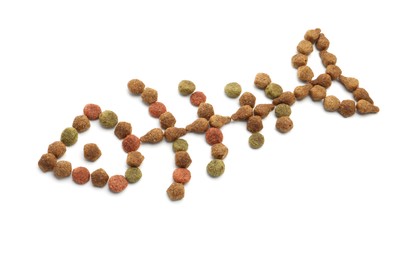 Photo of Fish skeleton made of dry pet food isolated on white, above view