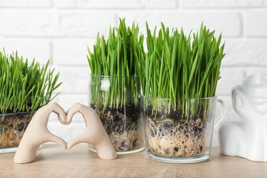 Photo of Wheat grass in transparent pots and decor on wooden table near white brick wall
