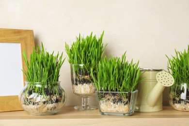 Photo of Wheat grass in transparent pots, frame and watering can on wooden table near light wall