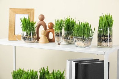 Photo of Wheat grass in transparent pots and decor on shelf near light wall, closeup