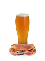 Image of Full glass of beer and cooked crab isolated on white
